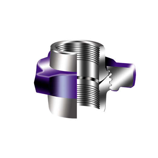 Fig 200 Hammer Union